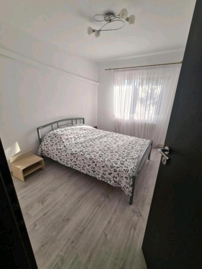 Alesandru Apartament Piteşti Exterior foto